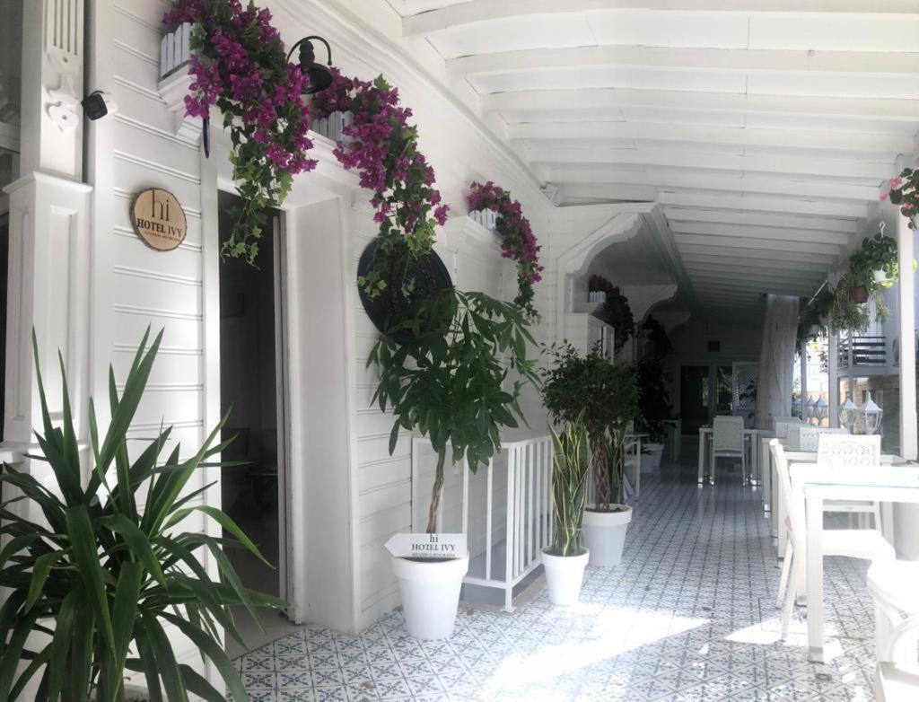 Hi Hotel Ivy Bueyuekada Adalar Eksteriør billede
